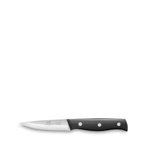 Lion Sabatier International "Mon Bloc" Knivblock och knivar, 6 delar, Svart - Bild 4