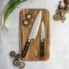 Knivset 2-delar "Zen", kockkniv 200 mm, allkniv 120 mm - Bild 2