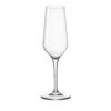 Champagneglas, Electra, 23 cl