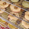Dehydrator "Profi Line", 10 brickor, 230V / 1000W, 417 x 535 x (h) 430mm - Bild 4