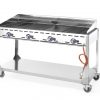 Gasgrill "Green Fire" i serien "Profi Line" med 4 brännare, 22kW, 1400 x 612 x (h) 825mm - Bild 4