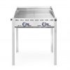 Gasgrill "Green Fire" i serien "Profi Line" med två grillnät i rostfritt stål, 11.6 kW, 740 x 612 x (h) 825mm.