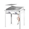 Gasgrill "Green Fire" i serien "Profi Line" med två grillnät i rostfritt stål, 11.6 kW, 740 x 612 x (h) 825mm - Bild 2