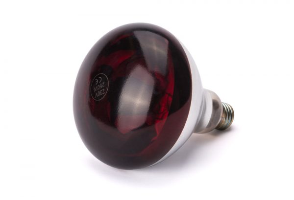 Infraröd värmelampa, röd, 230V / 250W, Ø125 x (h) 170mm - Bild 3