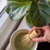 Bambu visp "chasen", bambu - Bild 3