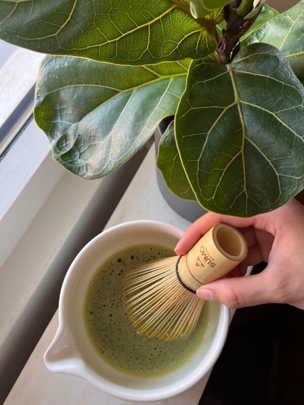 Bambu visp "chasen", bambu - Bild 3